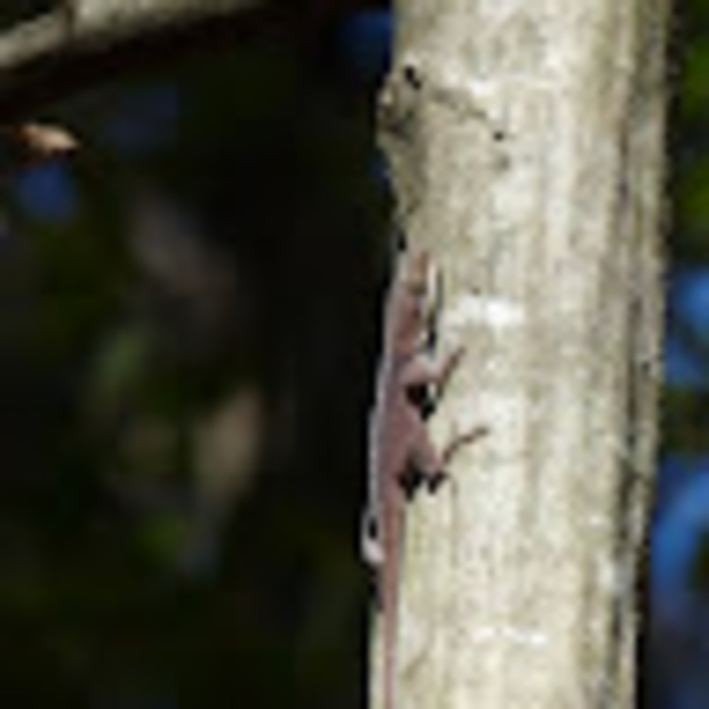 Meet your Posher, Rosel